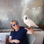 Gillian Green - @gillian.green.7547 - Instagram