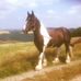 Gillian Green - Facebook