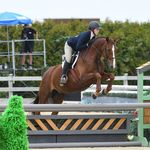 Gillian Green - @gilliangreen_eq - Instagram
