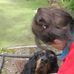 Gill Hazel - Facebook