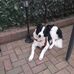 Gillian Henderson - Facebook
