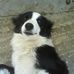 Gillian Henderson - Facebook