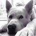 Gillian Henry - Facebook