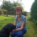 Gillian Henry - @gillianhenry65 - Instagram