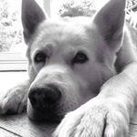 Gillian Henry - @gillian_4242 - Instagram