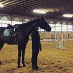 Gillian Herbert - @ibdancingtoo_eventing - Instagram