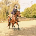 Gillian Herbert - @gillian.herbert.77 - Instagram