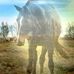 Gillian Herbert - Facebook