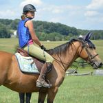 Gillian Herbert - @fvfeventing210 - Instagram