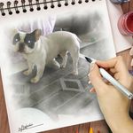 Gillian Holroyd - @gillianholroyd7 - Instagram