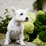 gillianhurley1 - @gillianhurley1 - Instagram