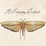 A Singing Cricket | illustrations by Gillian Bowen-Johnston - @a_singing_cricket - Instagram