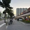 Gillian Knight - @gillian.knight6 - TikTok