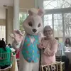 gillianmacdonald73 - @gillianmacdonald73 - TikTok