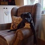 Gillian McDonald - @gillian.mcdonald.566 - Instagram