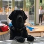 Gillian Nicholson - @gilliannicholson16 - Instagram