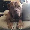 gilliannicholson27 - @gilliannicholson27 - TikTok