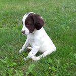 Gillian Parsons - @gilibug1995 - Instagram