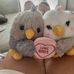 Gillian Parsons - Facebook