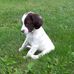 Gillian Parsons - Facebook