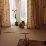 Gillian Parsons - @gillianparsons957 - Instagram