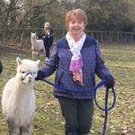 Gillian Parsons - @gillatheroncottage - Instagram