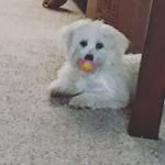 gillian pearson - @gillianp791 - Instagram