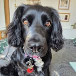 Gillian Porter - @gillian40854 - Instagram