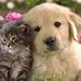 Gill Rapp - Facebook