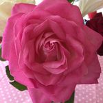 Gillian Riley - @gillianriley3354 - Instagram