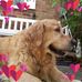 Gillian Riley - Facebook