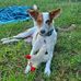 Gillian Roberts - Facebook