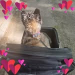 Gillian Shepherd - @gillian.shepherd.58 - Instagram
