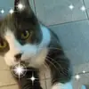 gillianstark67 - @gillianstark67 - TikTok