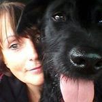 Giĺlian Stein - @steingillian - Instagram