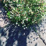 Gillian Stein - @gills_plot - Instagram