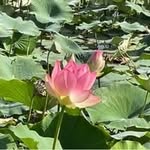 Gillian Sutherland - @gilliansutherland72 - Instagram