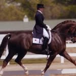 Gillian Sutherland - @gsequestrian1 - Instagram