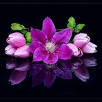 Gillian Temple - Facebook