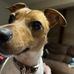 Gillian Wall - Facebook