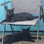 Gillian Williams - @gillianwilliams765 - Instagram