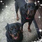 Gillian Williams - @gillian.williams.988 - Instagram