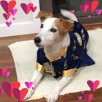 Gillian Wise - @wisegill - Instagram