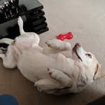 Gillian Yates - @yates_gillian - Instagram
