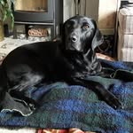 Gillian Yates - @gillian.yates.716 - Instagram