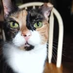 Debbie Gilly Ford - @debbiegilly.ford - Instagram