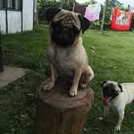 maria gilma arango - @gilma_arango1960 - Instagram
