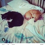 Gilma Barrera Cermeño - @gilmabarrera - Instagram