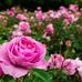 Gilma David - Facebook