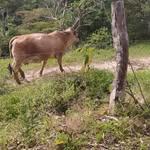 Gilma Jiménez - @gilma.jimenez.758 - Instagram